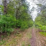 In By Veluwe * Garderen