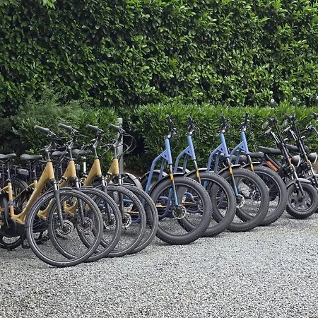 Urbane In With Terrace And Garden *