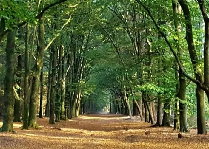 Urbane In With Terrace And Garden * خارديرن