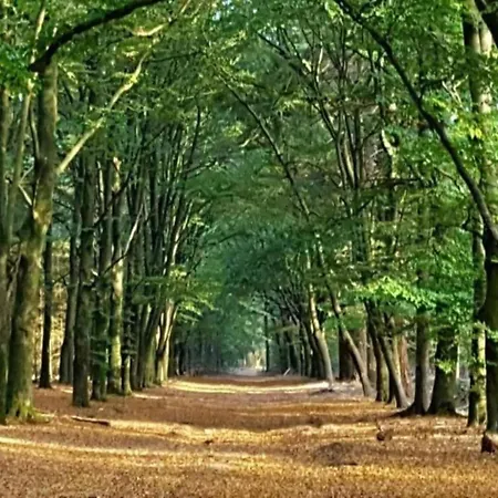 Urbane In With Terrace And Garden * خارديرن