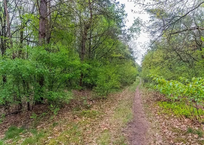 Urbane In With Terrace And Garden * خارديرن